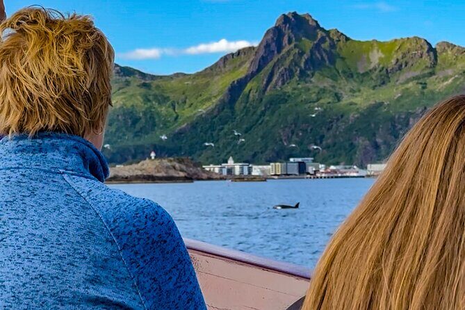 Lofoten Islands Private Midnight Sun Yacht Cruise from Svolvær - Key Points