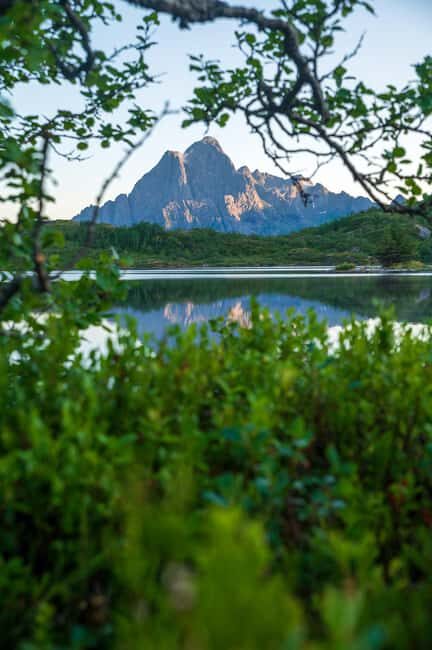Lofoten: Midnight Magic Tour with Snacks and Drinks - The Experience in Detail