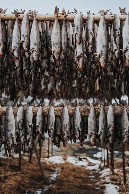 Lofoten Scenic Sightseeing Tour: Half day tour - Who Should Consider This Tour?