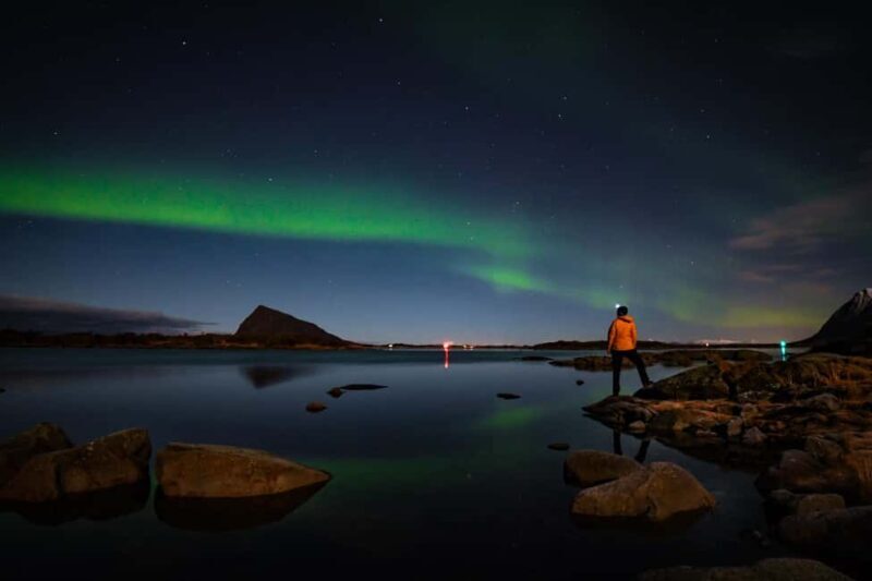 Lofoten: Snowshoeing Northern Lights Tour - What to Expect on the Tour