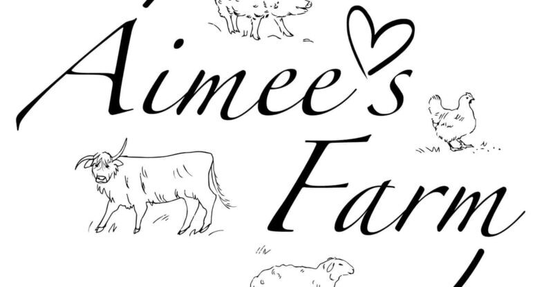 Lofoten (Stamsund and Leknes): Aimees Farm Experience - A Cozy Farm Night in Lofoten: Aimees Farm Experience