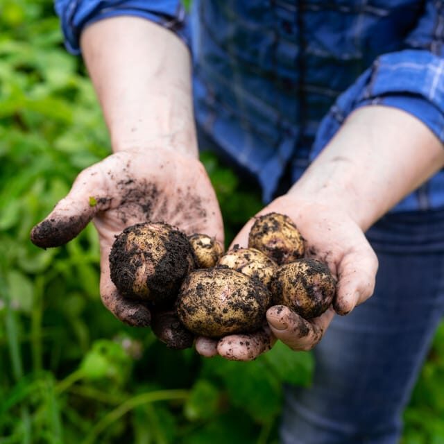 Lofoten (Stamsund and Leknes): Aimees Farm Experience - FAQ