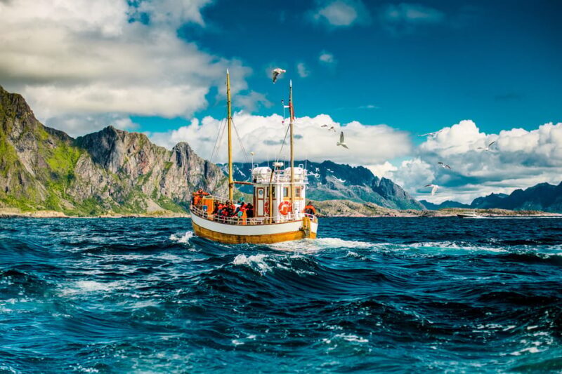 Lofoten: Traditional Fishing Trip - The Experience in Detail