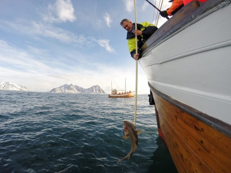 Lofoten: Traditional Fishing Trip - What to Expect Before You Go