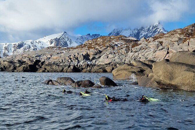 Lofoten Unique Snorkeling Experience in Dry Suit - What Makes This Snorkeling Tour Stand Out?