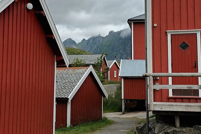 Lofoten VIP PRIVATE Tour from Leknes city / port - FAQs