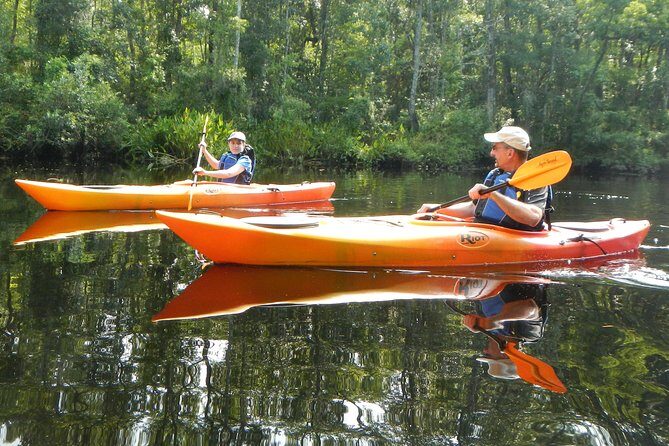 Lofton Creek Kayaking Trip with Professional Guide - Who Will Love This Trip?