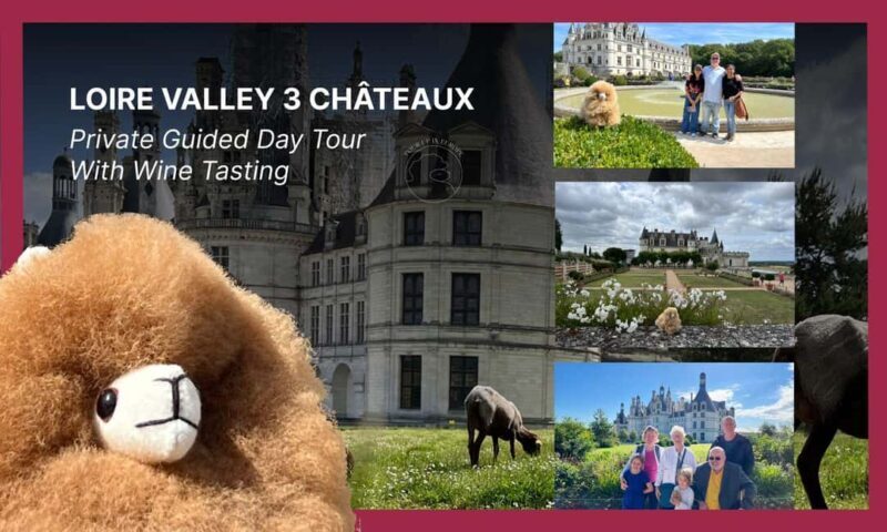 Loire Castles Day Trip & Wine Tasting - Who Is This Tour Best For?