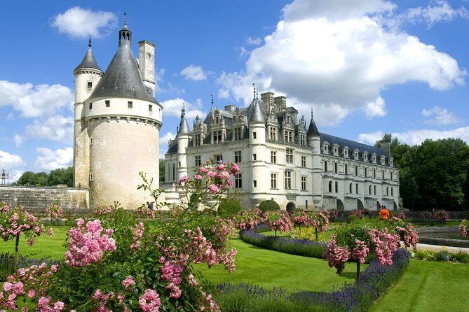 Loire Valley Castles Private Day Trip from Paris - The Authenticity of Reviews