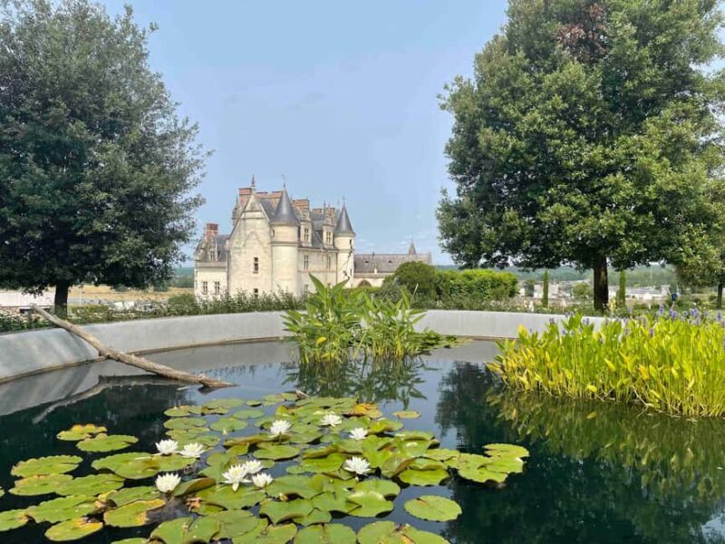 Loire Valley: Château Royal d'Amboise Entrance Ticket - An In-Depth Look at the Château Royal dAmboise Experience