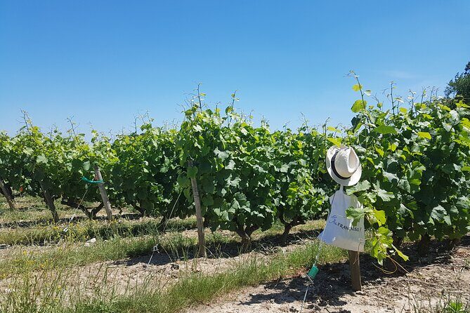 Loire Valley Day from Tours : Azay-le-Rideau, Villandry, Winery - Final Thoughts: Is This Tour Right for You?