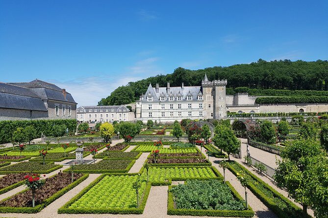 Loire Valley Half Day : Villandry and Azay-le-Rideau from Tours - Who Is This Tour Best For?