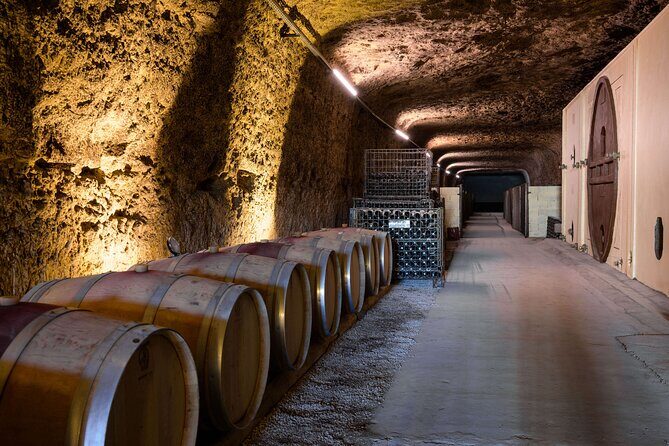 Loire Valley Most Visited Castles Private Tour from Tours or Amboise - Final Thoughts