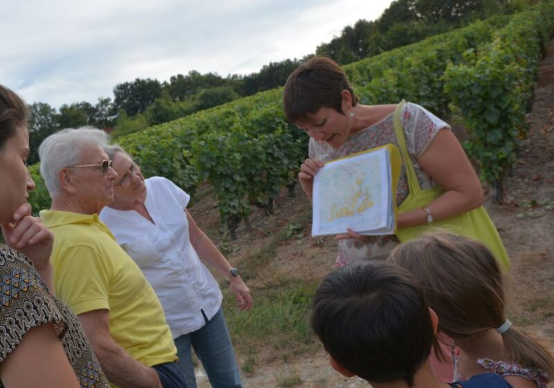 Loire Valley: Vouvray Vineyard Tour and Wine Tasting - Who Will Love This Tour?