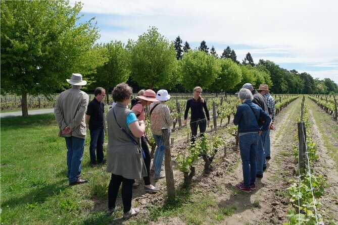 Loire Valley Wines Private Day Tour with Tastings from Tours or Amboise - An In-Depth Look at the Loire Valley Wine Tour
