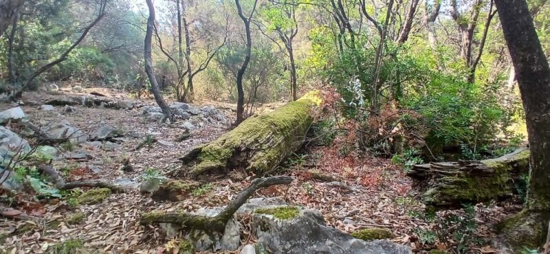 Lokrum Island Scenic Hike: History, Nature & Stories - Wrapping Up