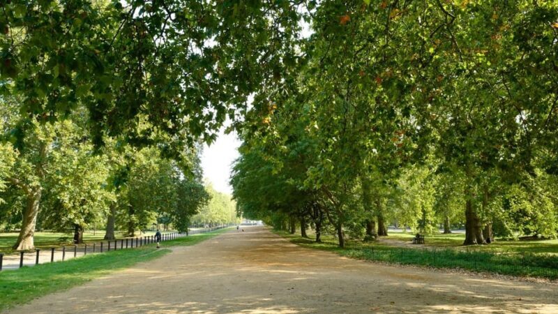 London: 24-Hour Hop-On Hop-Off Bus Pass - Key Points