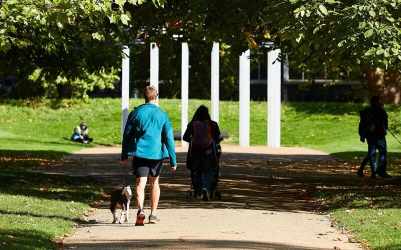 London Afternoon Tea, Fast-Track Kensington Palace Tickets - What to Expect from the Experience