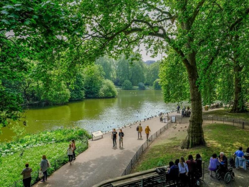 London: Big Sunday Walk from Big Ben to Tower Bridge Pub - Practical Details & What Travelers Say