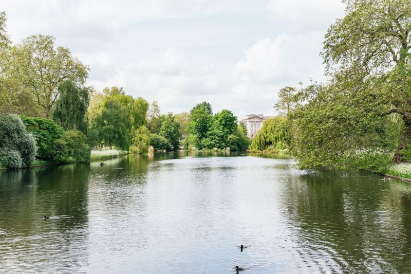 London: Changing of the Guard Tour by Buckingham Palace - Buckingham Palace photo stop: short, useful, and not over-promised