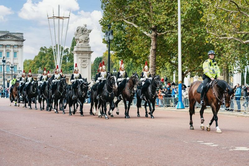 London: Changing of The Guard Tour - St James’s Palace Stop: Photos Plus Context (About 15 Minutes)