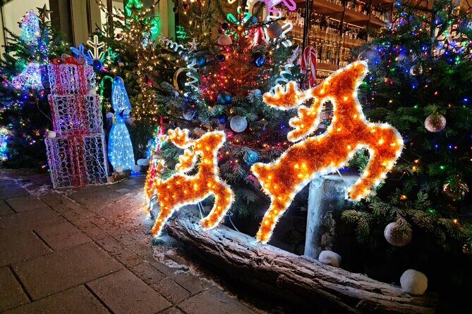 London Christmas Lights Bike Tour with Local Guide - FAQs