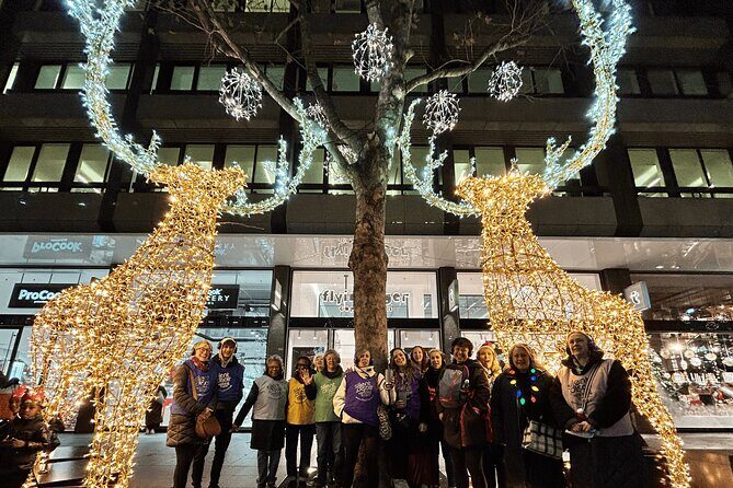 London Christmas Lights Guided Tour With Christmas Music - Who Is This Tour Best Suited For?