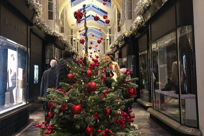 London Christmas Lights Private Car Tour with Driver Guide - Who Should Book This Tour?