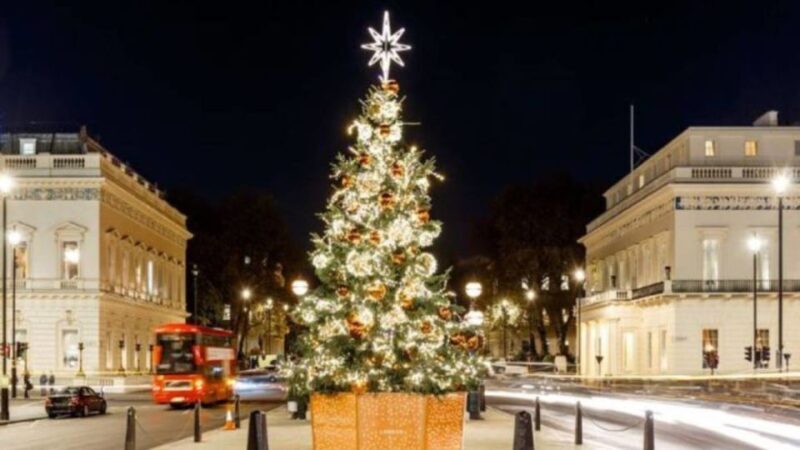 London: Christmas Lights Tour, Mince Pies, & Festive Drinks - Key Points