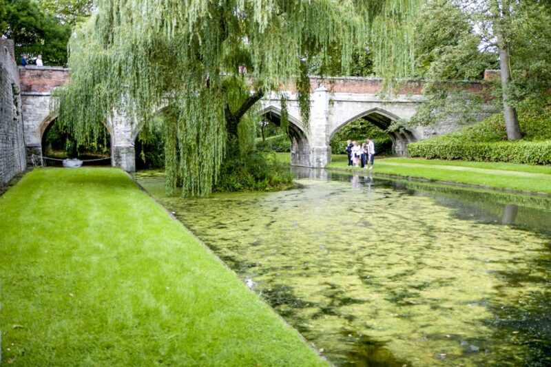 London: Entry Ticket to Eltham Palace and Gardens - The Gardens: A Peaceful Retreat