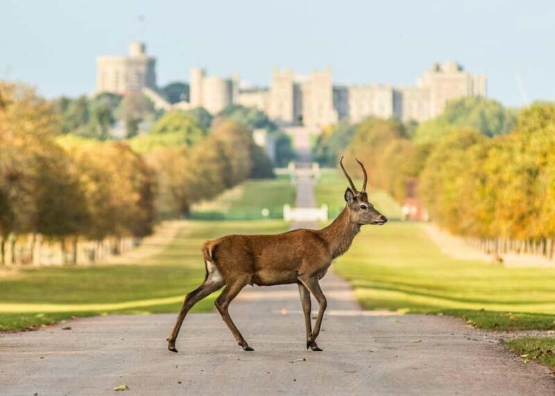 London: Expert Archaeologist - Stonehenge and Windsor Castle - The Sum Up