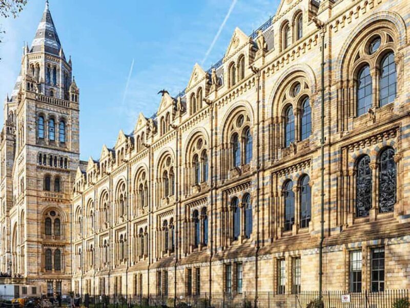 London: Guided Exploration at the Museum of Natural History - The Sum Up