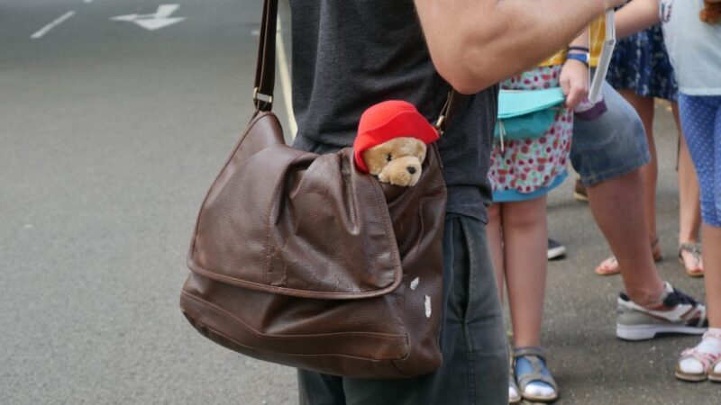 London: Guided Paddington Bear Walking Tour - An Honest Look at the Paddington Bear Walking Tour