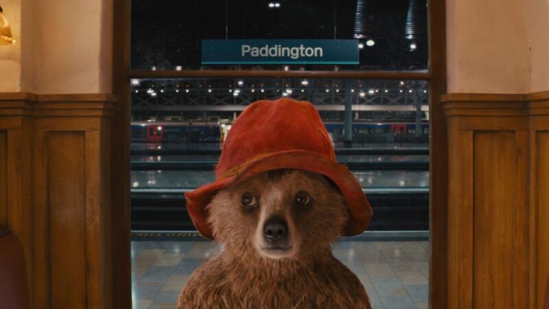 London: Guided Paddington Bear Walking Tour - The Experience: What It Really Feels Like