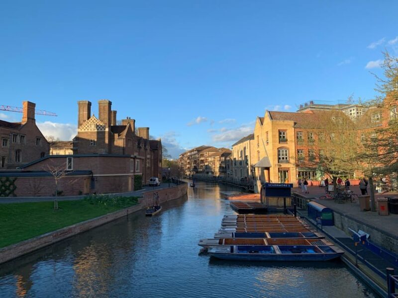 London: Guided tour of Cambridge - Sedan - What Our Reviewers Say