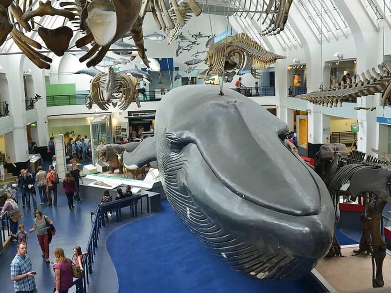 London: Guided Tour of Natural Marvels - Key Points