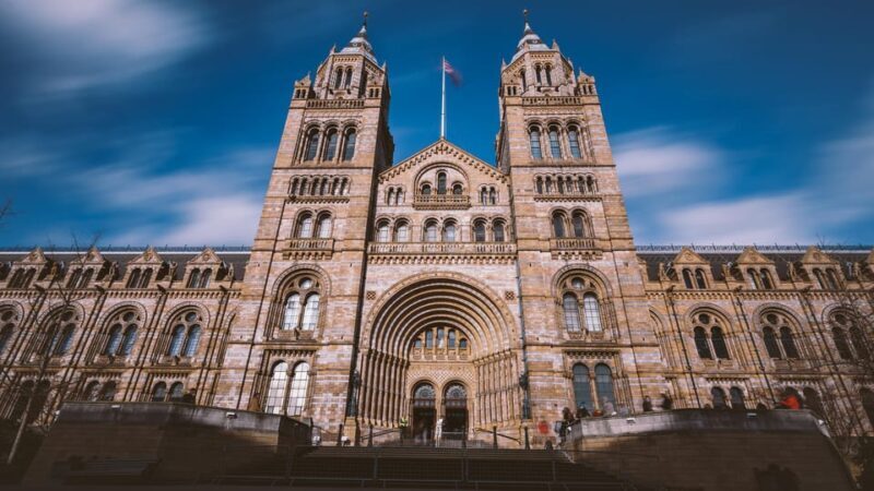 London: Guided Tour of the Natural History Museum - Key Points