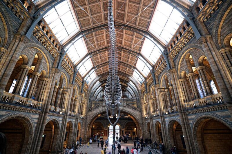 London: Guided Tour of the Natural History Museum - Getting a Feel for the Experience