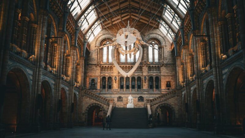 London: Guided Tour of the Natural History Museum - Is It Worth the Price?