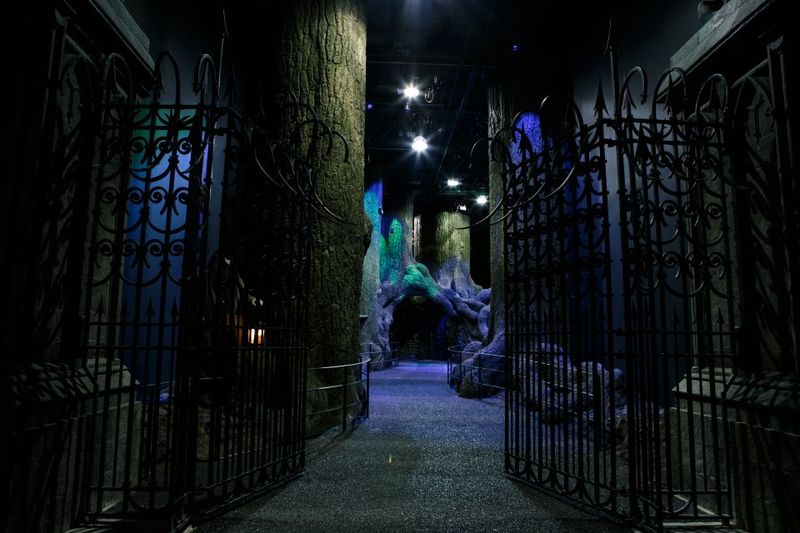 London: Harry Potter Studio Tour and Oxford Day Trip - Price and Value: Is $174 Fair for This Much Ground?