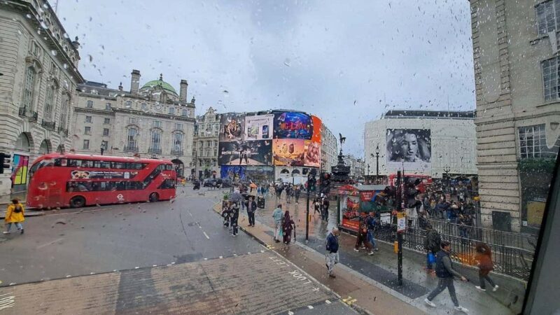 London Hop-on-Hop-off Bus Tour with Cruise & British Museum - Exploring London With the Hop-on-Hop-off Bus and More