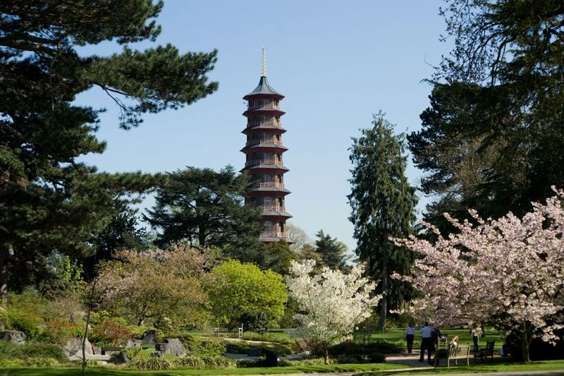 London: Kew Gardens Admission Ticket - Arboretum Scale: 14,000+ Trees for Long, Easy Walking