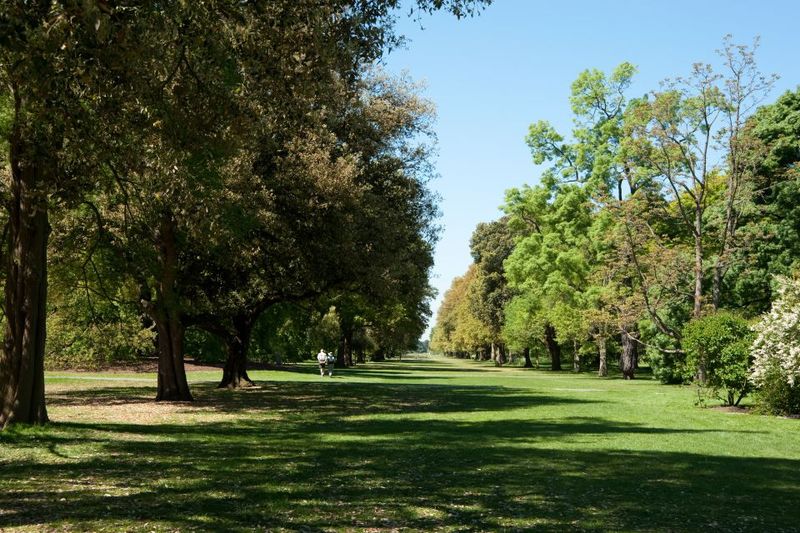 London: Kew Gardens Admission Ticket - Art and Extra Stops: What You Might Catch Along the Way