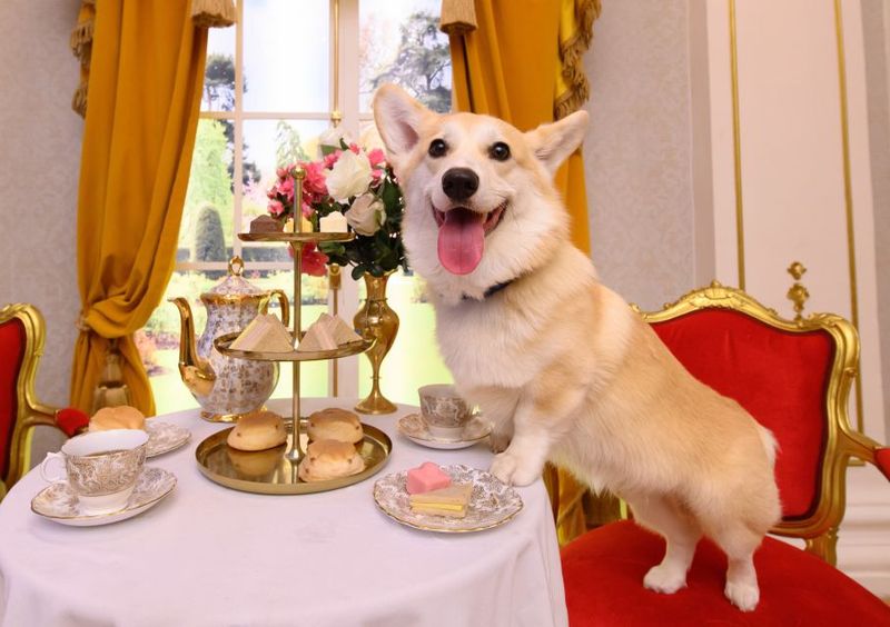 London: Madame Tussauds London - Marvel Universe 4D: The Included Show You Should Not Skip