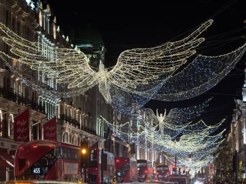 London: Magical Christmas Lights Guided Tour by Private Taxi - Who Is This Tour Best For?
