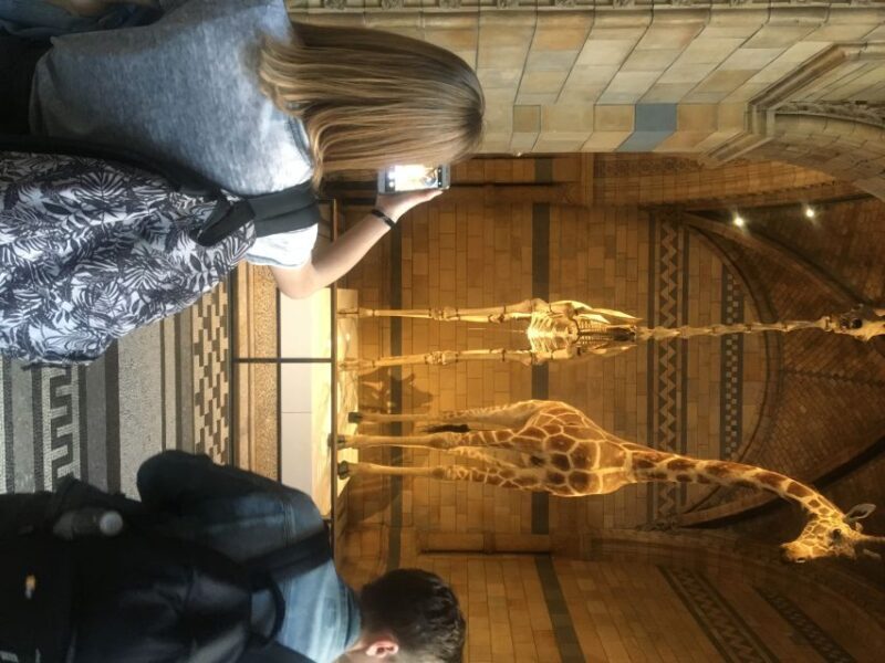 London: Natural History Museum Entry Ticket and Guided Tour - Starting Point and Practical Details