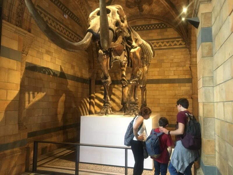 London: Natural History Museum Entry Ticket and Guided Tour - Guided Insights and Review Highlights