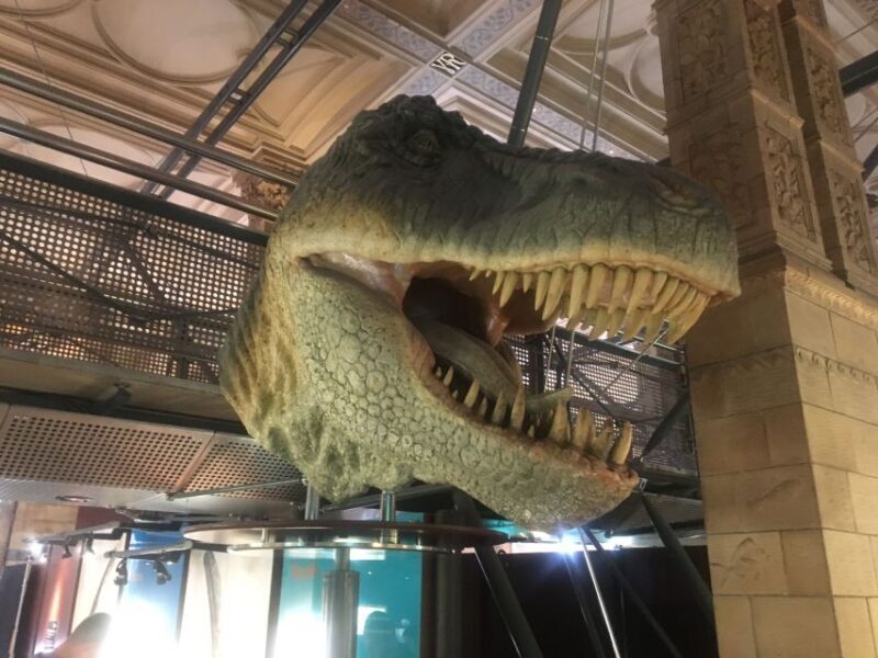 London: Natural History Museum Entry Ticket and Guided Tour - The Value of the Tour