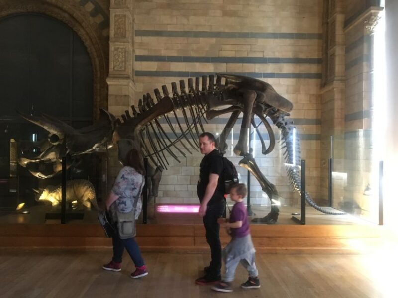 London: Natural History Museum Entry Ticket and Guided Tour - Who Should Consider This Tour?