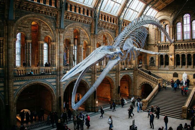 London: Natural History Museum Express Tour & Audio App - The Itinerary Breakdown